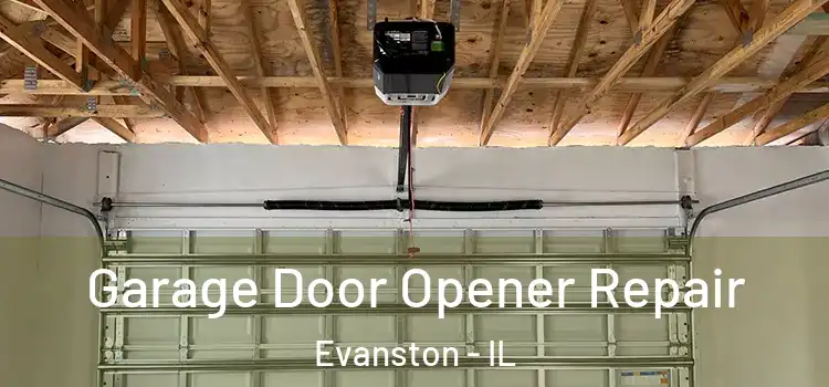  Garage Door Opener Repair Evanston - IL
