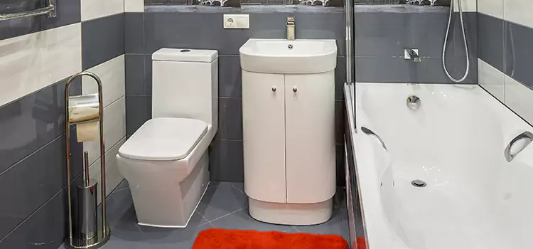 Hansgrohe Shaving Mirror Evanston