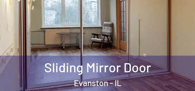  Sliding Mirror Door Evanston - IL